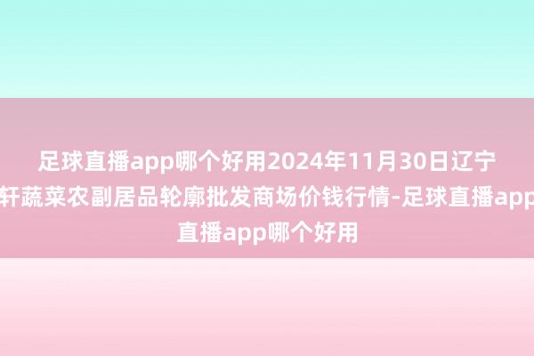 足球直播app哪个好用2024年11月30日辽宁阜新市瑞轩蔬菜农副居品轮廓批发商场价钱行情-足球直播app哪个好用