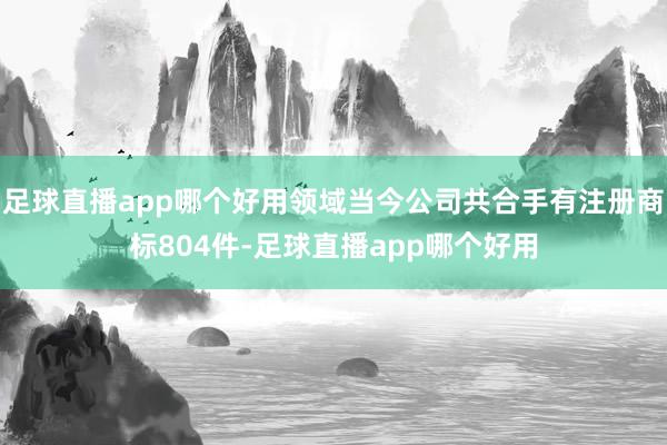 足球直播app哪个好用领域当今公司共合手有注册商标804件-足球直播app哪个好用