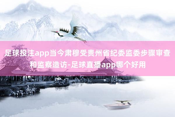 足球投注app当今肃穆受贵州省纪委监委步骤审查和监察造访-足球直播app哪个好用