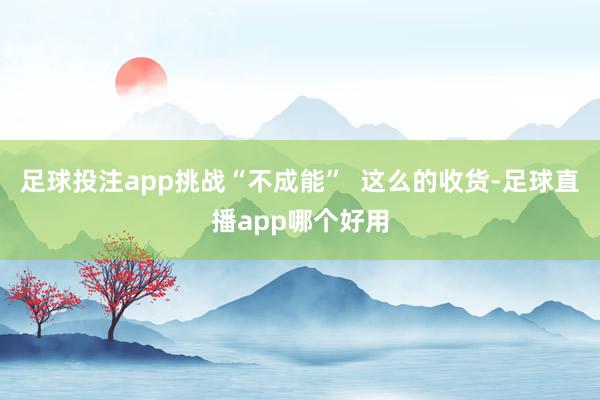 足球投注app挑战“不成能”  这么的收货-足球直播app哪个好用