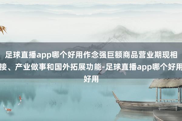足球直播app哪个好用作念强巨额商品营业期现相接、产业做事和国外拓展功能-足球直播app哪个好用
