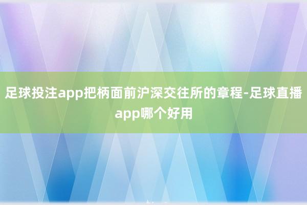 足球投注app把柄面前沪深交往所的章程-足球直播app哪个好用