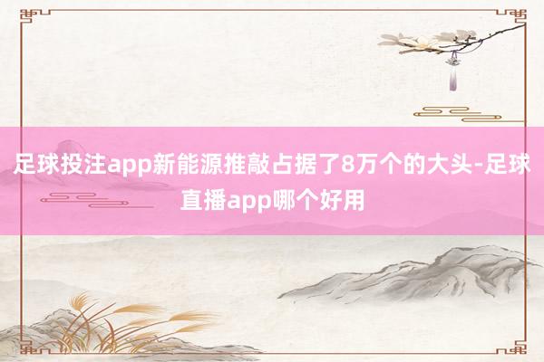 足球投注app新能源推敲占据了8万个的大头-足球直播app哪个好用