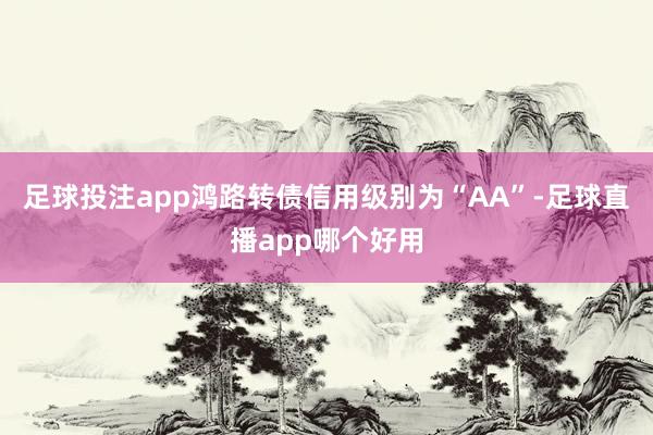 足球投注app鸿路转债信用级别为“AA”-足球直播app哪个好用