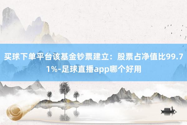 买球下单平台该基金钞票建立：股票占净值比99.71%-足球直播app哪个好用
