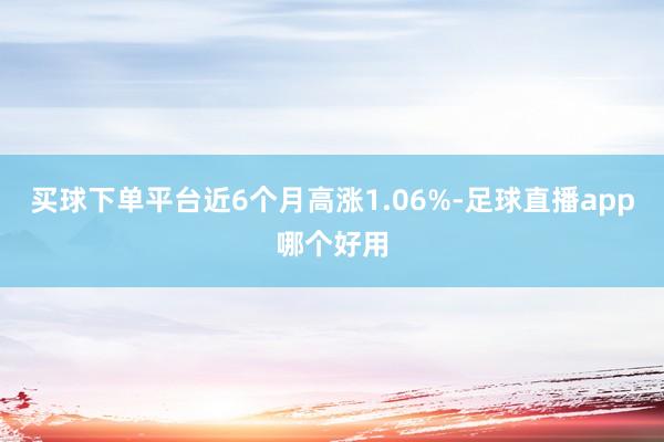买球下单平台近6个月高涨1.06%-足球直播app哪个好用