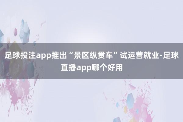 足球投注app推出“景区纵贯车”试运营就业-足球直播app哪个好用