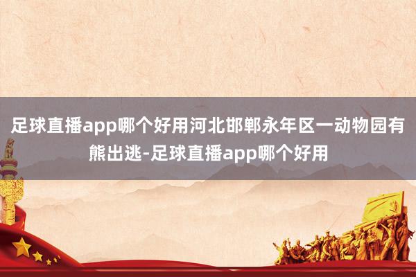 足球直播app哪个好用河北邯郸永年区一动物园有熊出逃-足球直播app哪个好用