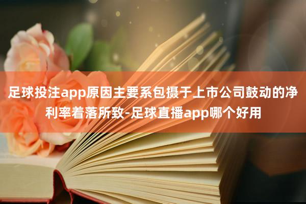 足球投注app原因主要系包摄于上市公司鼓动的净利率着落所致-足球直播app哪个好用