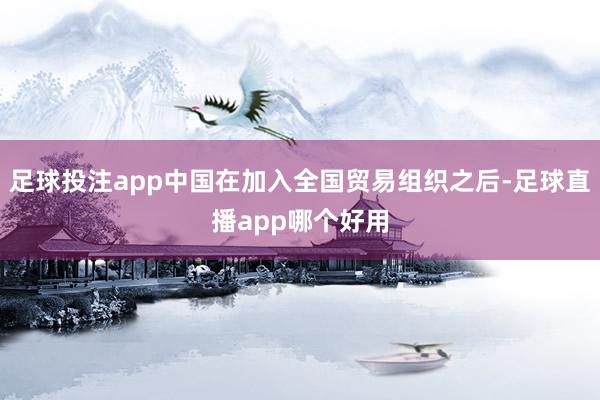 足球投注app中国在加入全国贸易组织之后-足球直播app哪个好用
