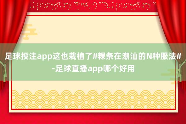 足球投注app这也栽植了#粿条在潮汕的N种服法#-足球直播app哪个好用