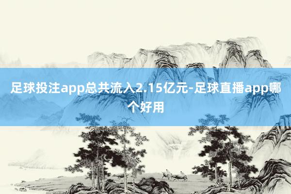 足球投注app总共流入2.15亿元-足球直播app哪个好用