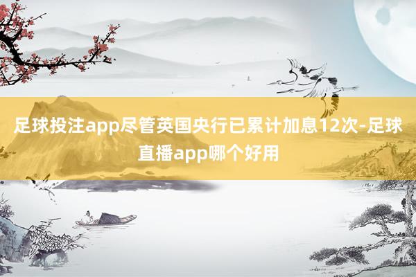 足球投注app尽管英国央行已累计加息12次-足球直播app哪个好用