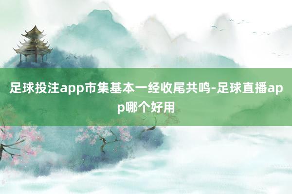 足球投注app市集基本一经收尾共鸣-足球直播app哪个好用
