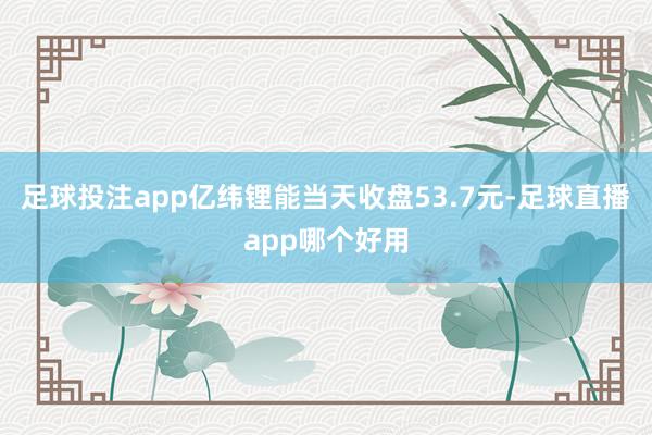 足球投注app亿纬锂能当天收盘53.7元-足球直播app哪个好用