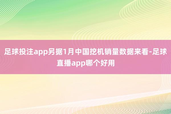 足球投注app另据1月中国挖机销量数据来看-足球直播app哪个好用