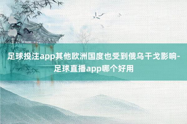 足球投注app其他欧洲国度也受到俄乌干戈影响-足球直播app哪个好用