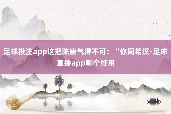 足球投注app这把陈赓气得不可：“你周希汉-足球直播app哪个好用