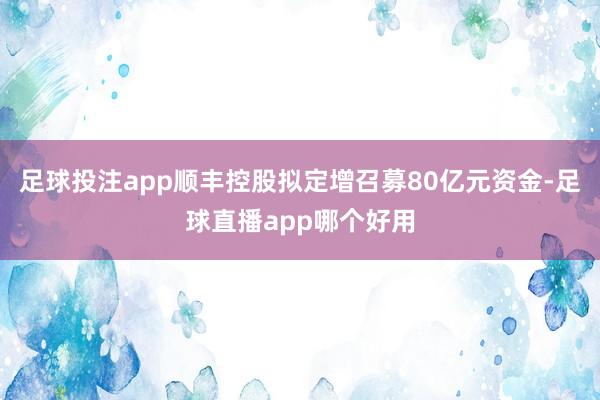 足球投注app顺丰控股拟定增召募80亿元资金-足球直播app哪个好用