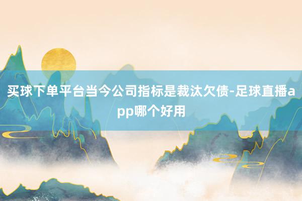 买球下单平台当今公司指标是裁汰欠债-足球直播app哪个好用