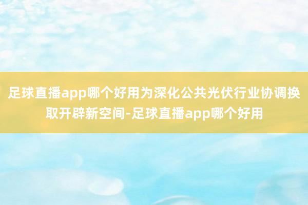 足球直播app哪个好用为深化公共光伏行业协调换取开辟新空间-足球直播app哪个好用