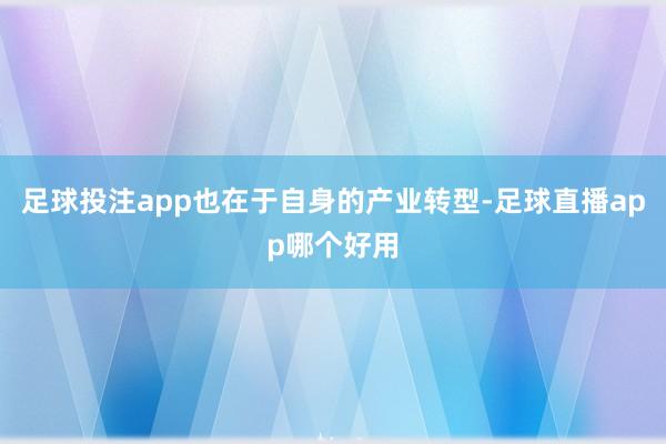 足球投注app也在于自身的产业转型-足球直播app哪个好用