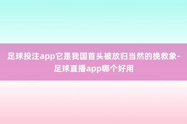 足球投注app它是我国首头被放归当然的挽救象-足球直播app哪个好用