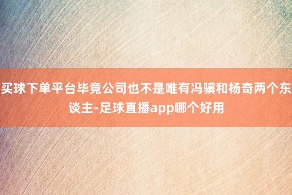 买球下单平台毕竟公司也不是唯有冯骥和杨奇两个东谈主-足球直播app哪个好用