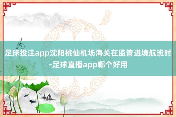 足球投注app沈阳桃仙机场海关在监管进境航班时-足球直播app哪个好用