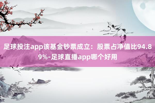 足球投注app该基金钞票成立：股票占净值比94.89%-足球直播app哪个好用