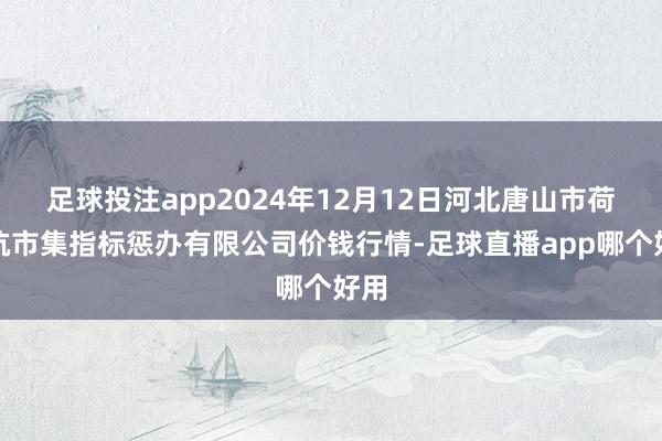 足球投注app2024年12月12日河北唐山市荷花坑市集指标惩办有限公司价钱行情-足球直播app哪个好用