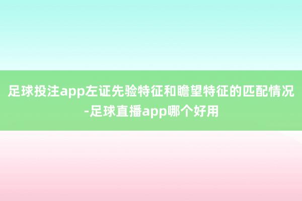 足球投注app左证先验特征和瞻望特征的匹配情况-足球直播app哪个好用