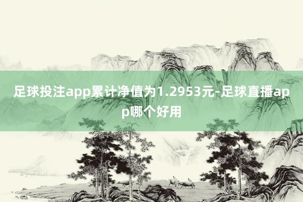 足球投注app累计净值为1.2953元-足球直播app哪个好用