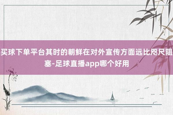 买球下单平台其时的朝鲜在对外宣传方面远比咫尺阻塞-足球直播app哪个好用