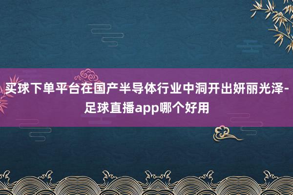 买球下单平台在国产半导体行业中洞开出妍丽光泽-足球直播app哪个好用