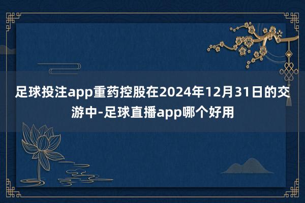 足球投注app重药控股在2024年12月31日的交游中-足球直播app哪个好用