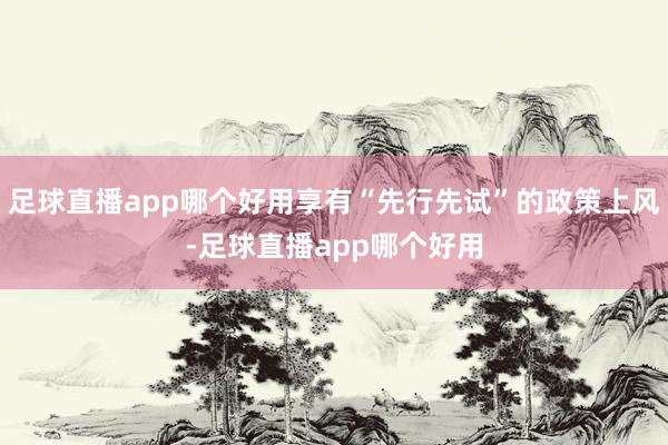 足球直播app哪个好用享有“先行先试”的政策上风-足球直播app哪个好用
