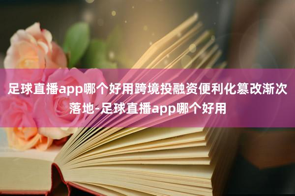 足球直播app哪个好用跨境投融资便利化篡改渐次落地-足球直播app哪个好用