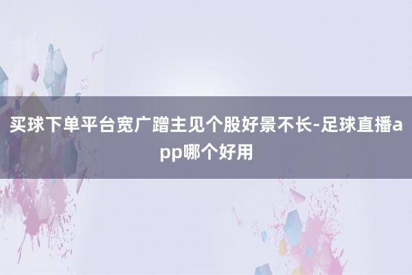 买球下单平台宽广蹭主见个股好景不长-足球直播app哪个好用