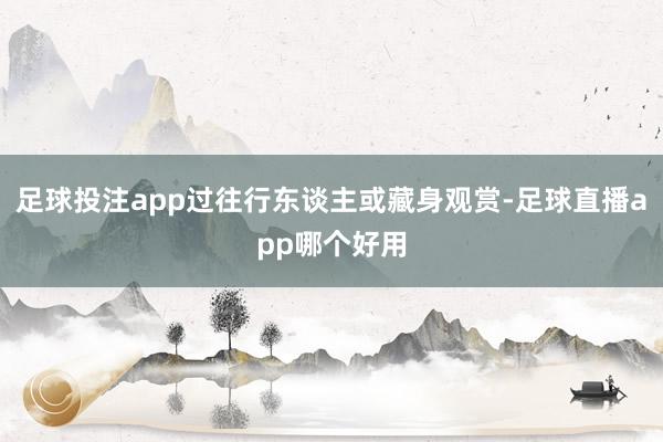 足球投注app过往行东谈主或藏身观赏-足球直播app哪个好用