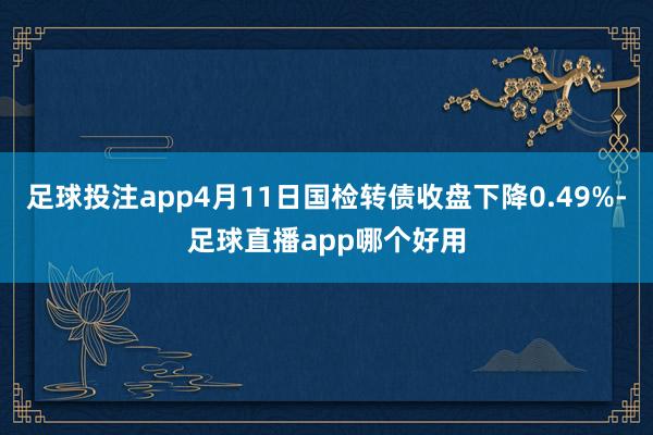 足球投注app4月11日国检转债收盘下降0.49%-足球直播app哪个好用