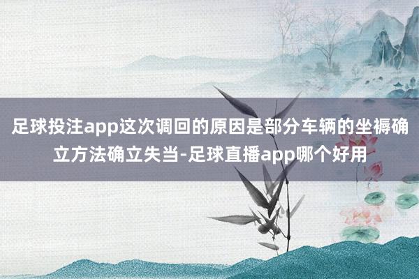 足球投注app这次调回的原因是部分车辆的坐褥确立方法确立失当-足球直播app哪个好用