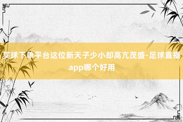 买球下单平台这位新天子少小却高亢茂盛-足球直播app哪个好用