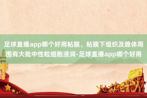 足球直播app哪个好用粘膜、粘膜下组织及腺体周围有大批中性粒细胞浸润-足球直播app哪个好用