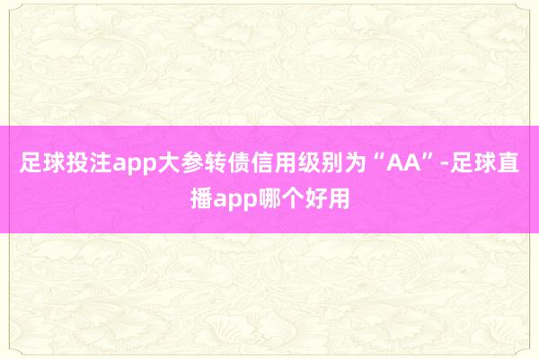 足球投注app大参转债信用级别为“AA”-足球直播app哪个好用