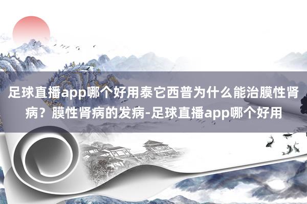 足球直播app哪个好用泰它西普为什么能治膜性肾病？膜性肾病的发病-足球直播app哪个好用