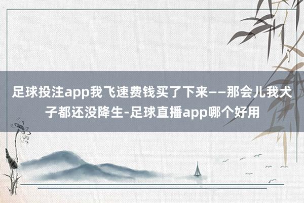 足球投注app我飞速费钱买了下来——那会儿我犬子都还没降生-足球直播app哪个好用