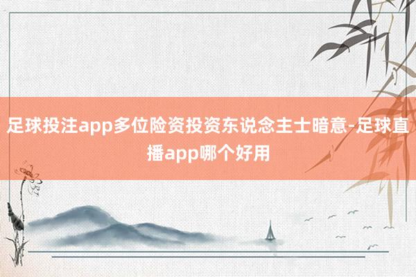足球投注app多位险资投资东说念主士暗意-足球直播app哪个好用