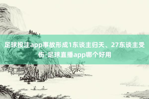 足球投注app事故形成1东谈主归天、27东谈主受伤-足球直播app哪个好用