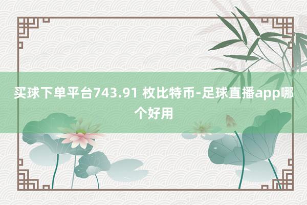 买球下单平台743.91 枚比特币-足球直播app哪个好用